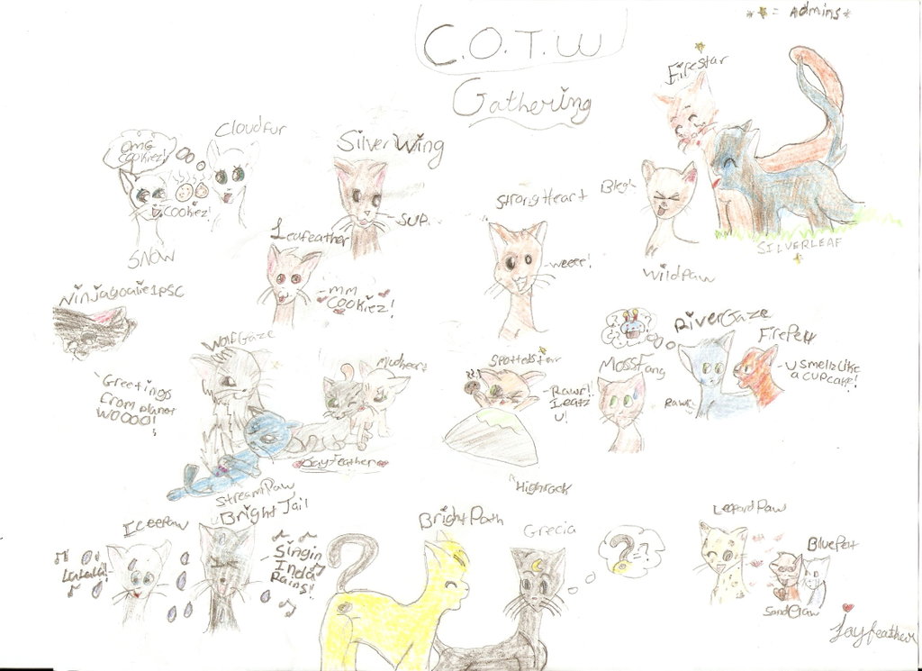 COTW (cats of the wild) gathering by Jaypaw