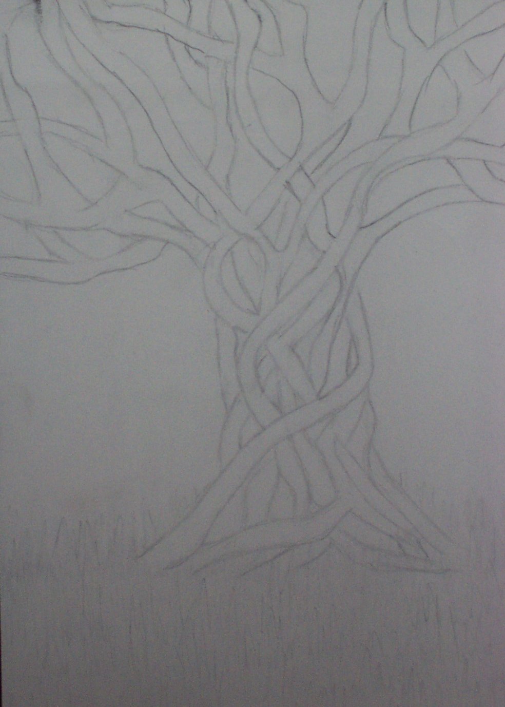 Mystic Tree by Jaz