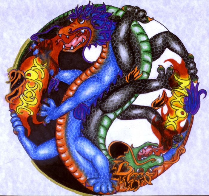 Yin and Yang MxPx dragons by JennStrummer