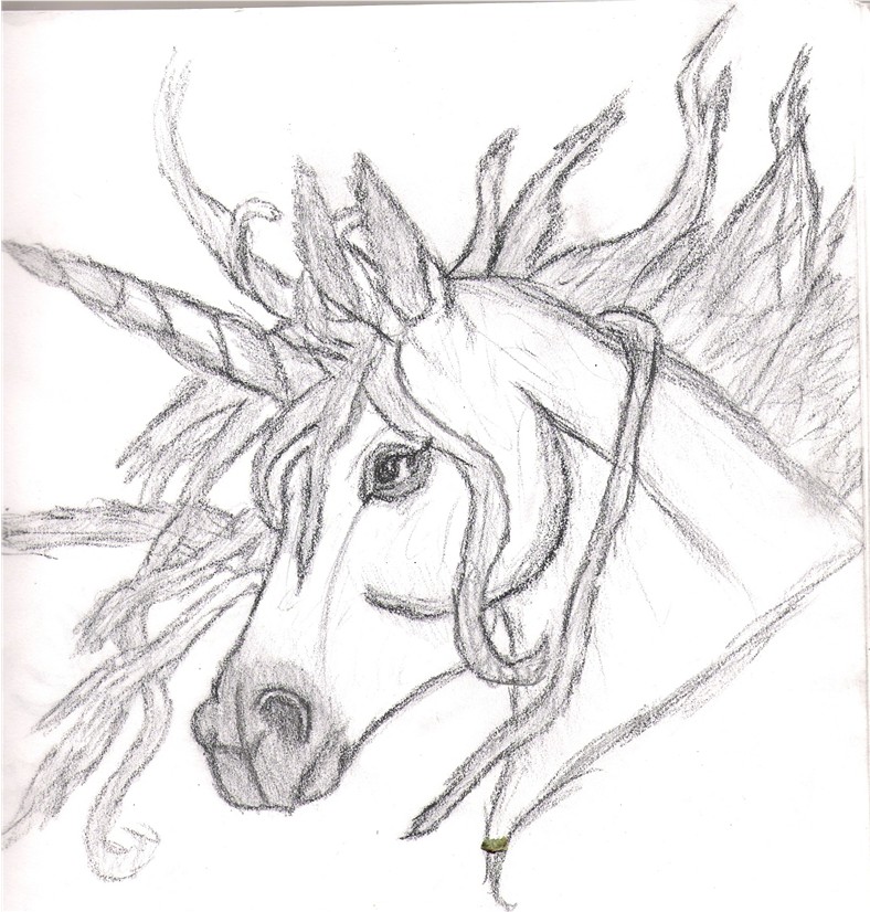~Unicorn~ by Jerika