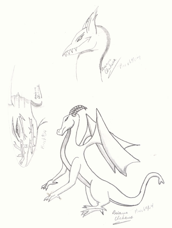My First Actual Dragon Drawings by Jinx666