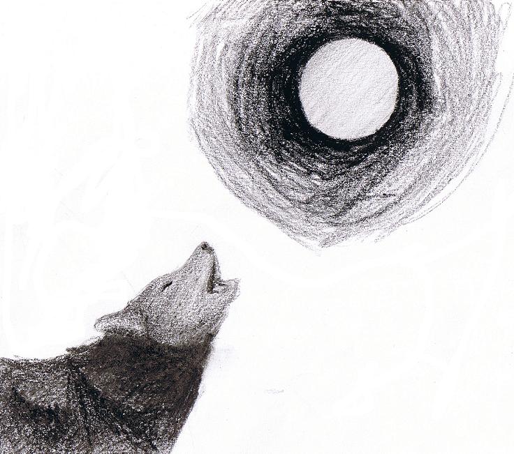 *Wolf for Riverwind* by Jojo_Bakura