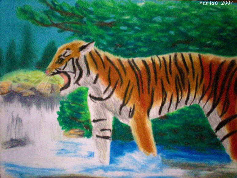 Tiger tiger by Jowy