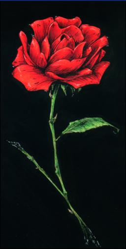 rose in black by Juan_David