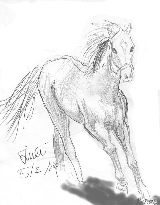 A horsey i drew at caronee's house by Juli