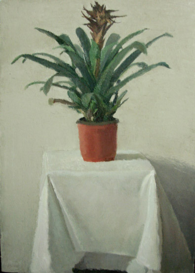 Plant by jason0515
