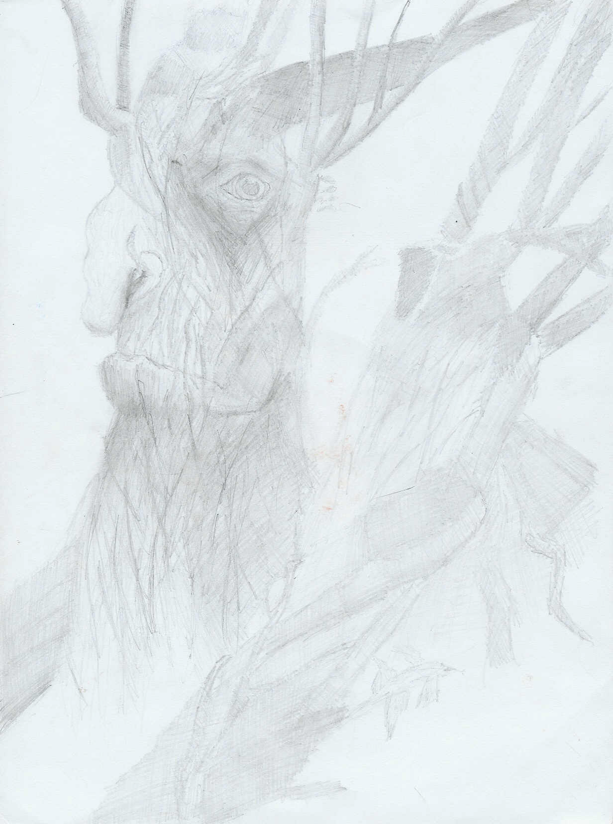 Treebeard by jeff_ooh_a_tree