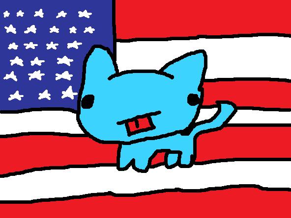 Cat of the USA by jetpacks
