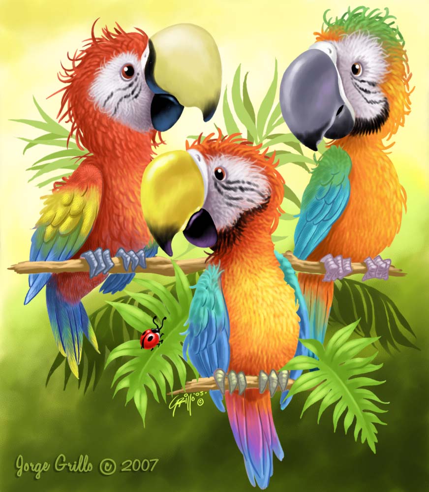 Baby Parrots by jg777