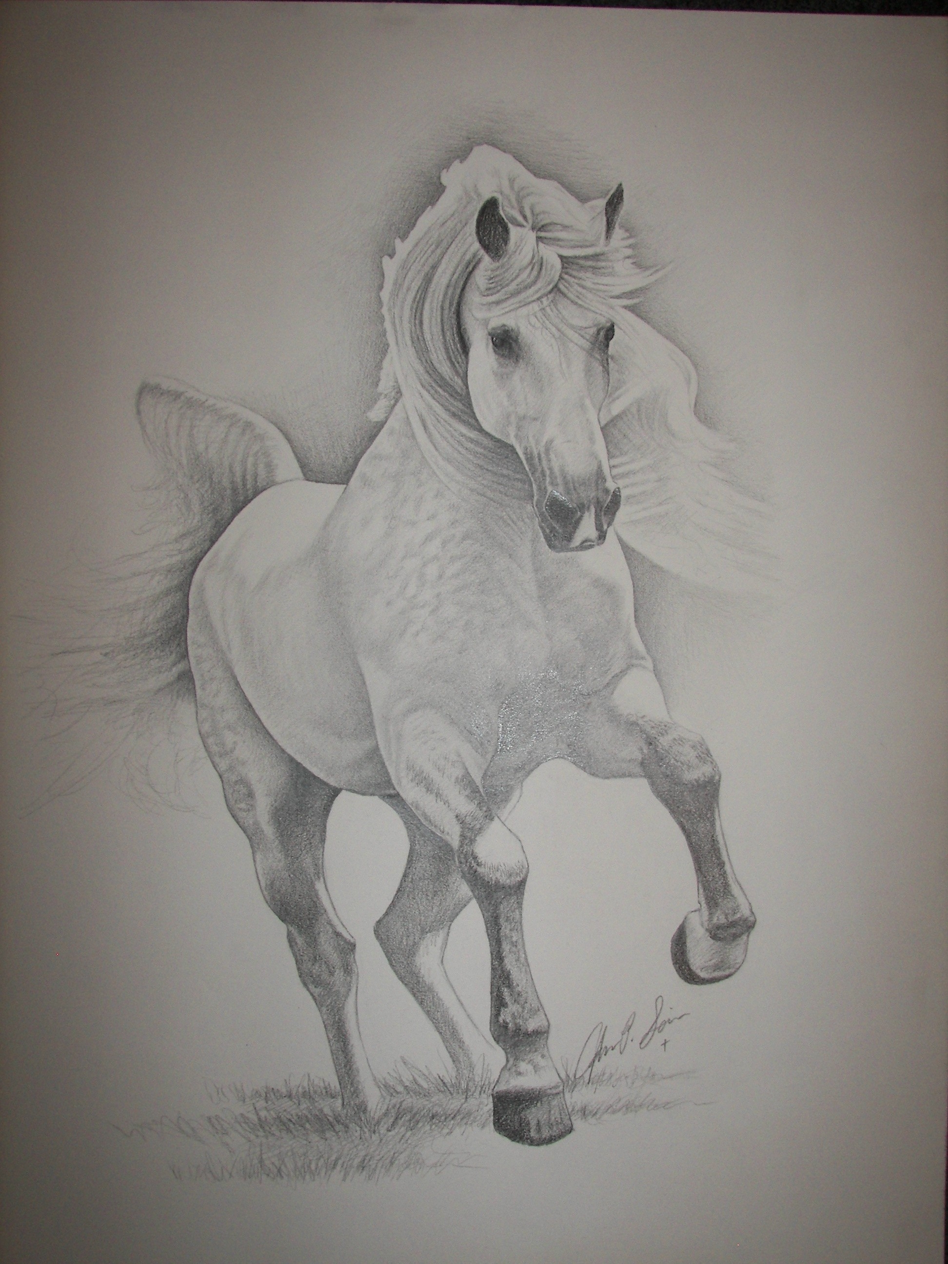 horse by johnnydraws