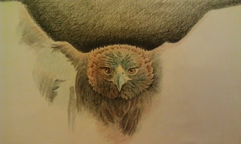 Golden eagle album cover wip 3 by johnnydraws