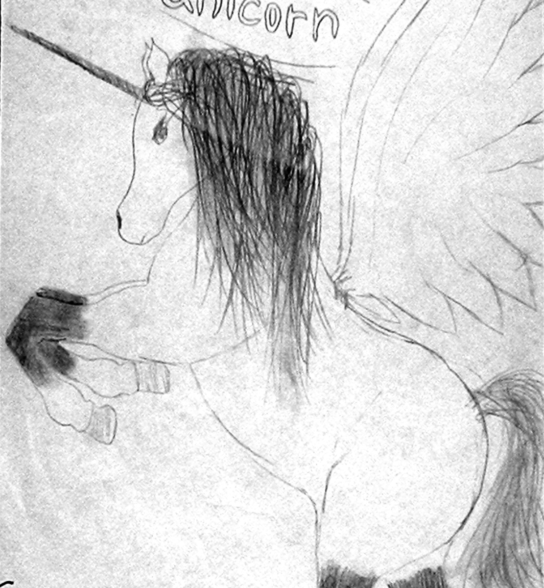 unicorn by justapencilandpad