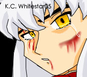 Inuyasha's Blood and Tears by KC-Whitestar