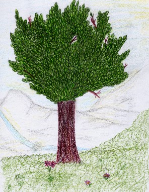 A tree... by Kagura-chan14