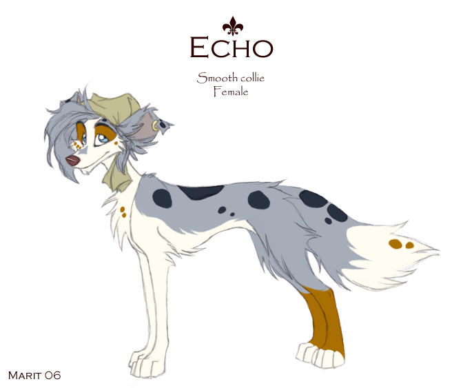 Echo Sheet by Kahvie