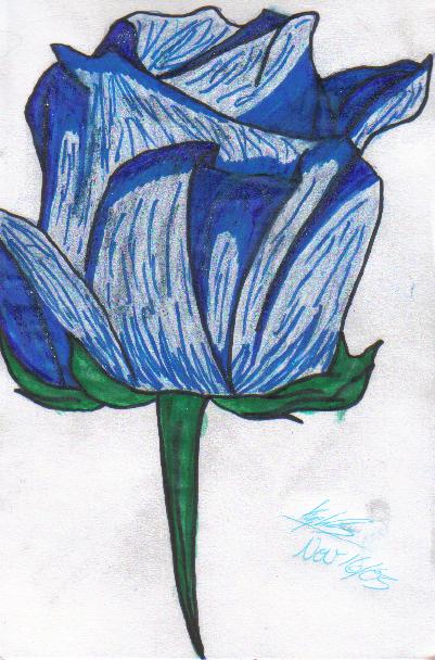 Blue Rose by Kaira