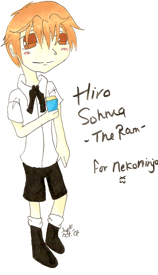 Hiro for NekoNinja by Kari