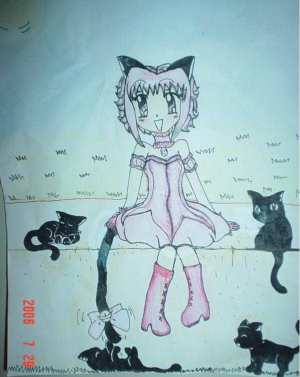 Ichigo and black kitty cats by Katibird93