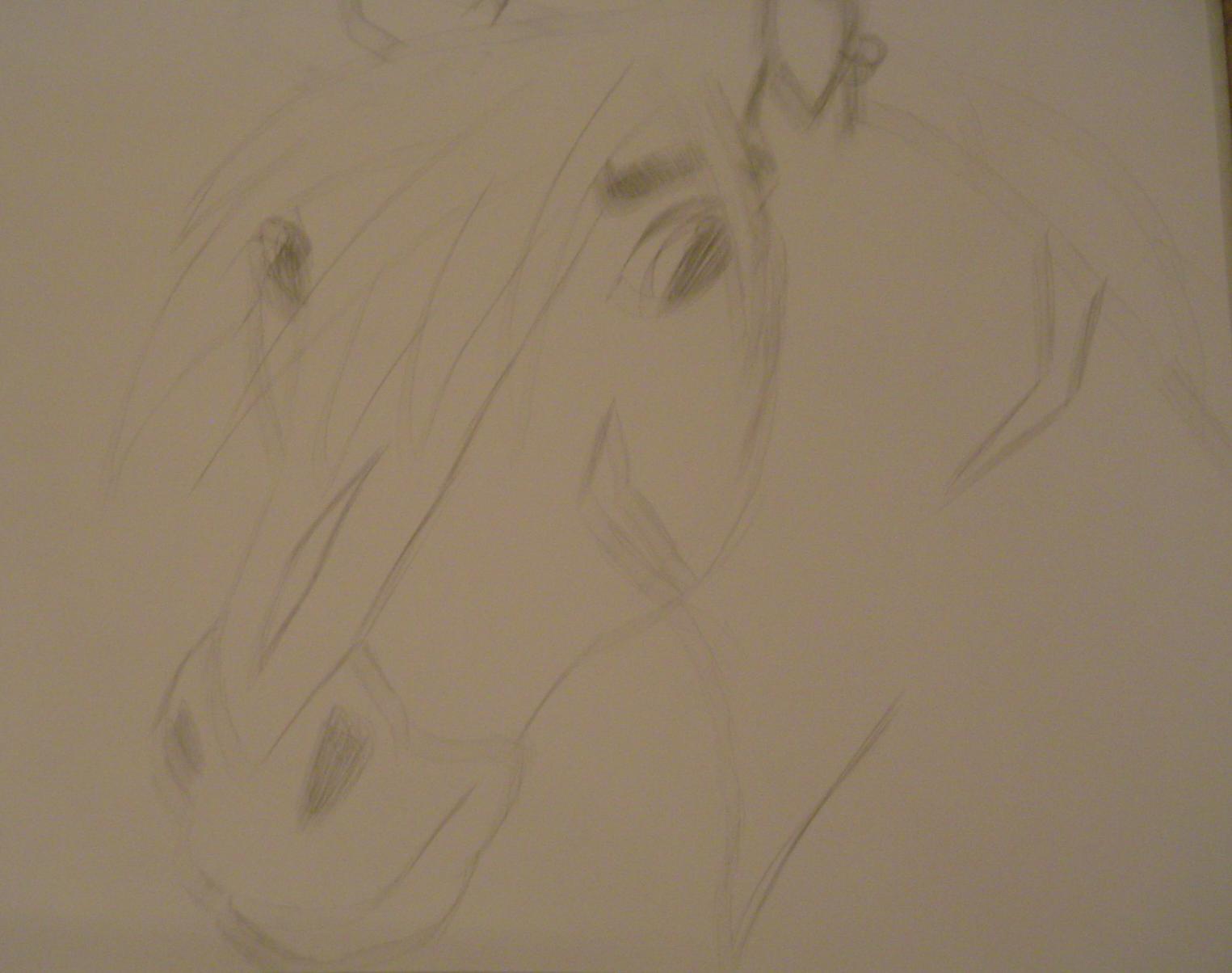 Horse by KaylaChick14