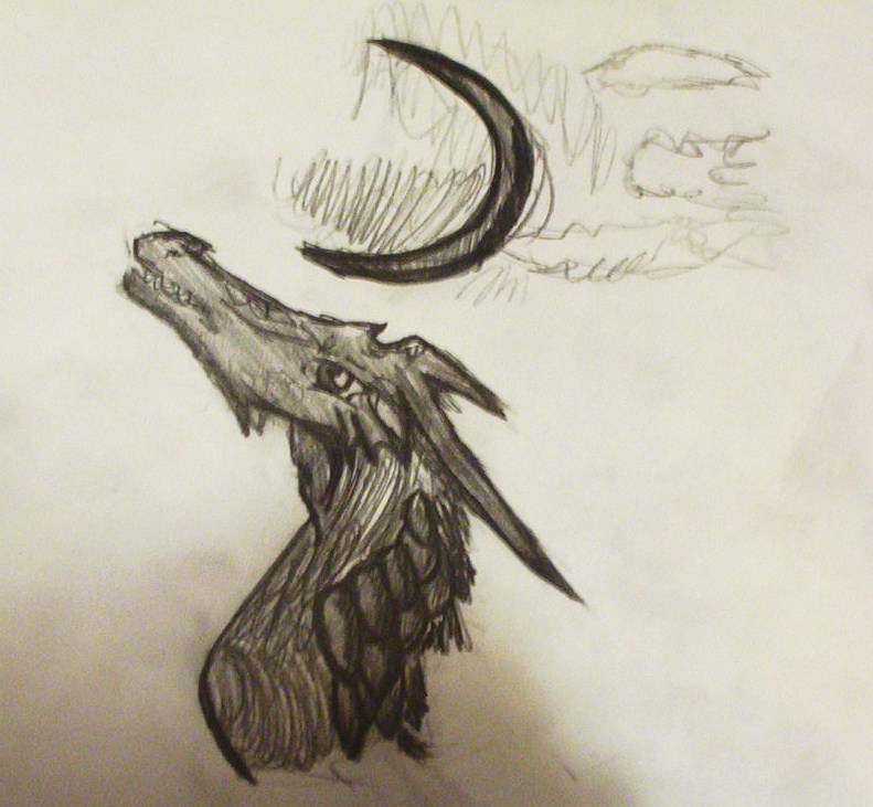 Dragon Sketch by Kaylu12104