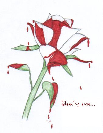 bleeding rose by Kaz
