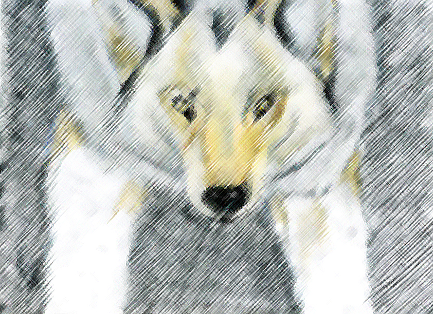 Wolf in Blizzard by Keiyou
