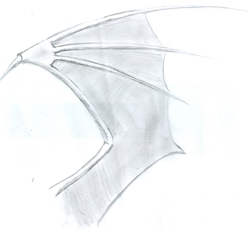 Dragon's wing by Kenshin784