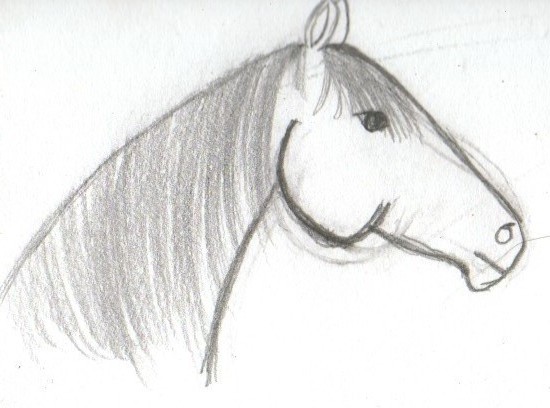 Horse Head by Kenshin_Krazy