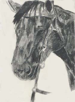 Charcoal Horse with western bridle by Kes