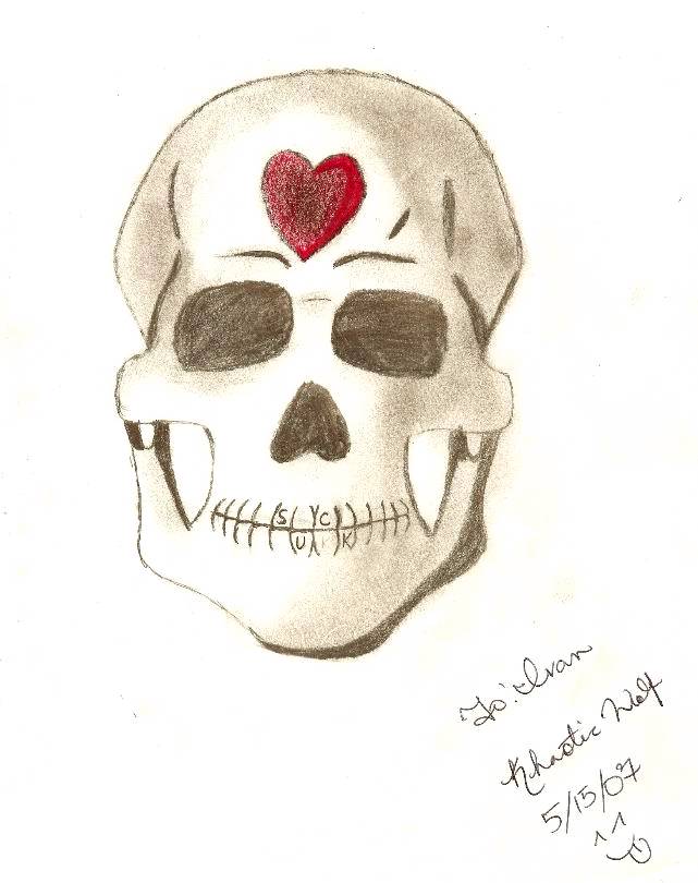 Skull by KhaoticWolf