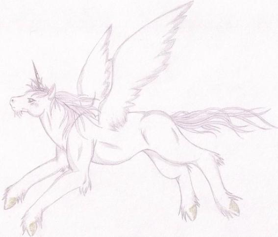 Pegasus by KibaFang
