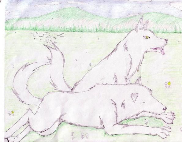 Moro's wolve pups by KibaFang