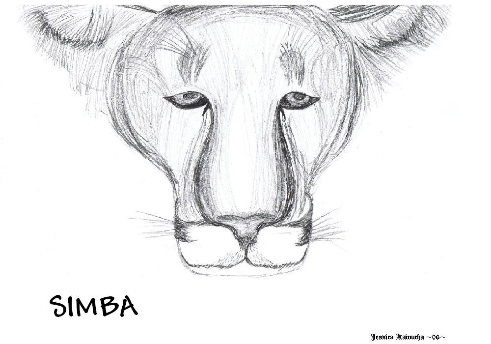 Simba by Kibame