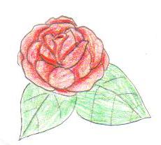 A Rose by KionaKina