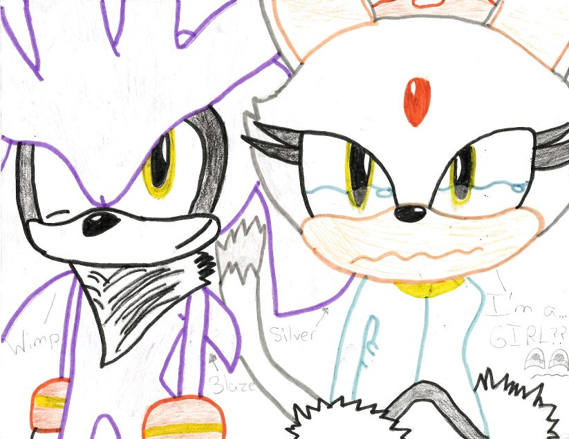GAH!!! Silver and Blaze switched bodys!!! by Kirbyluva11
