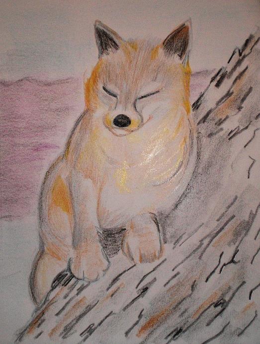 Arctic Fox by KiroK