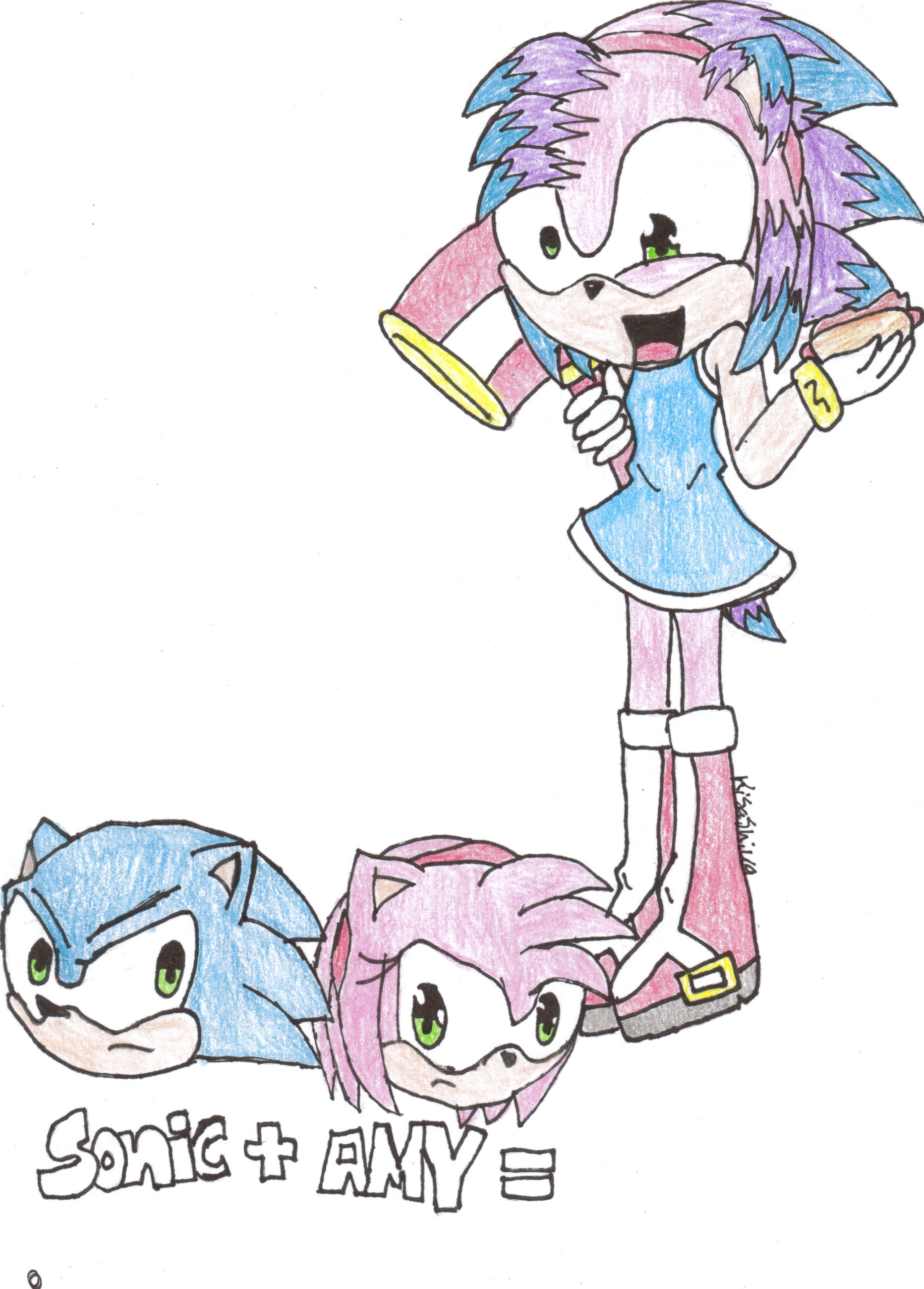 Sonic and Amy can't have kids! by KisaShika