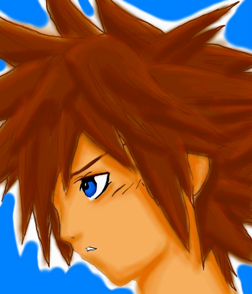 Sora's Thoughts by Kitay