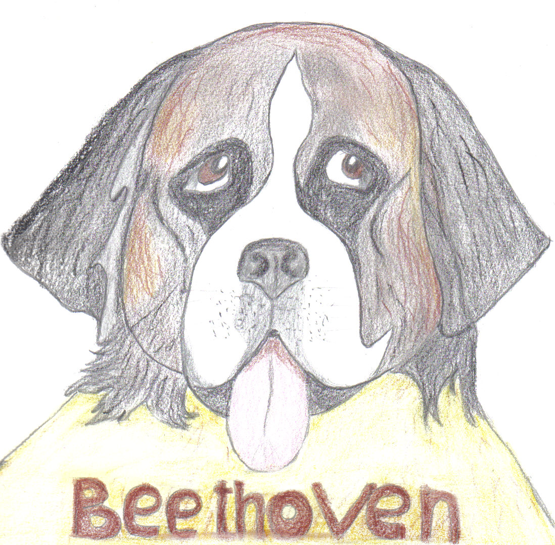 Бетховен собака рисунок