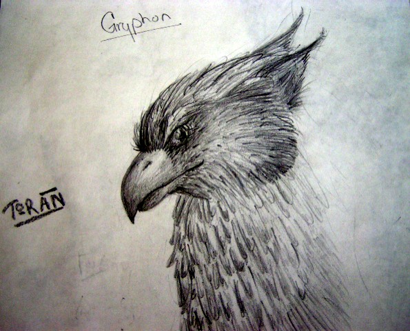 Toran: Gryphon Sketch Study by Kittyku1189