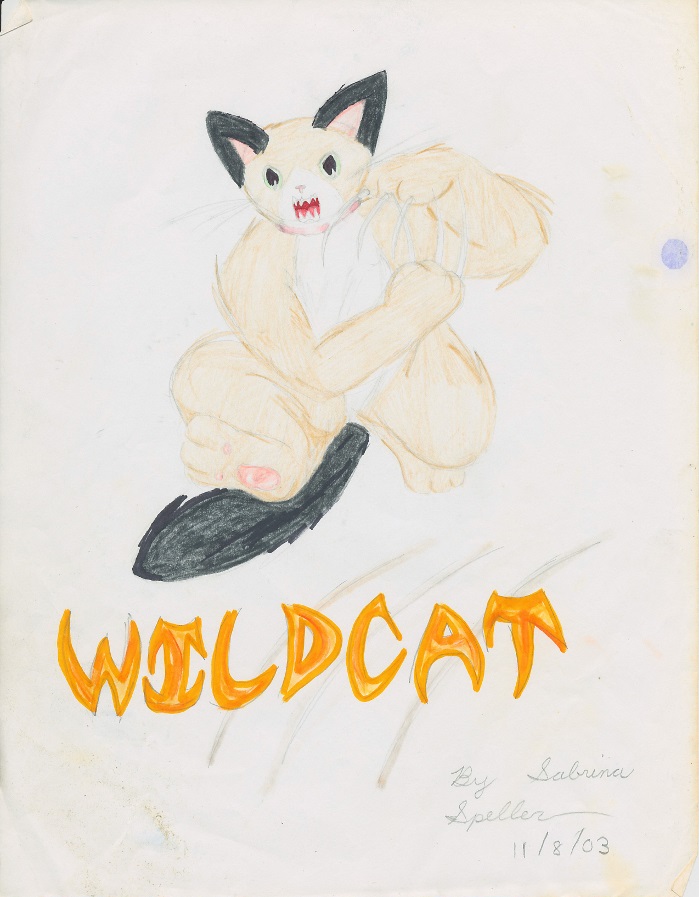 Wildcat by KiwiKiss