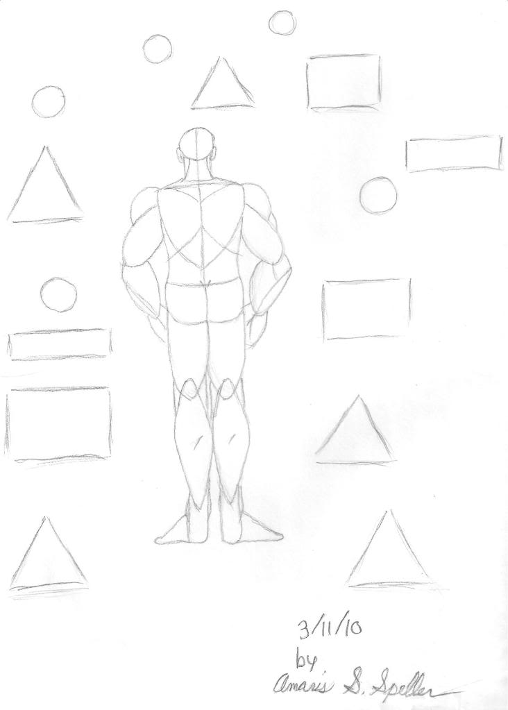 Male Anatomy Practice by KiwiKiss