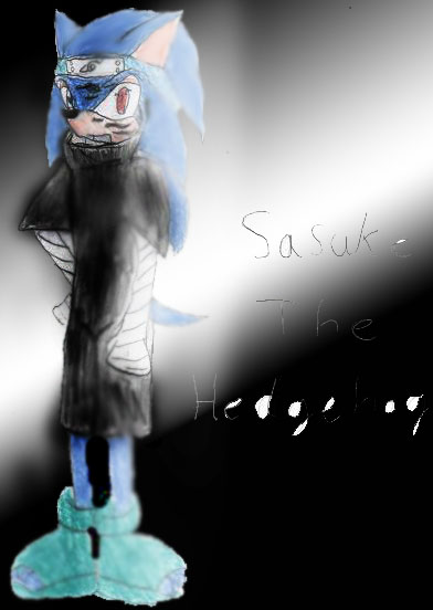 Sasuke the hedgehog by Klancey