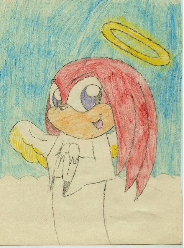 All echidnas go to heven by Knuckles_prower168