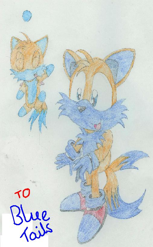 Gift for Blue Tails by Knuckles_prower168