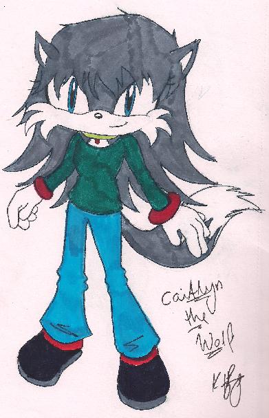 Caitlyn for Snowpaw1 by Knuckles_prower168