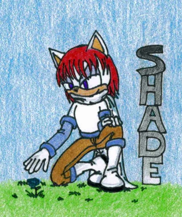 Shade is Shade by Knuczema