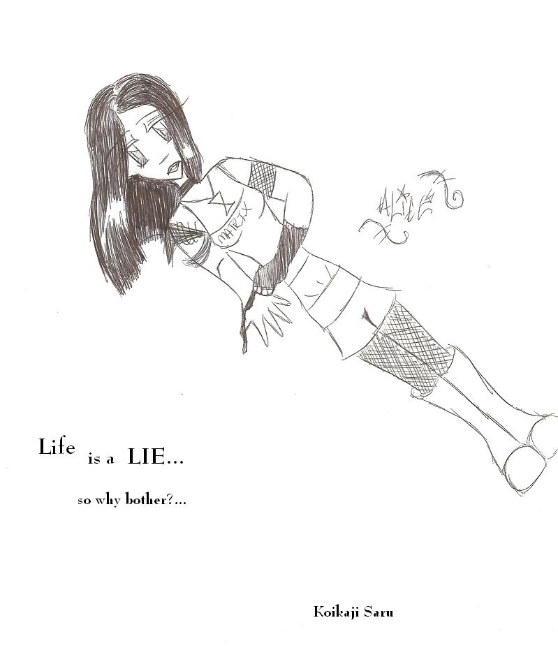 "life is a lie..." by Koikaji_Saru_the_Wierd_O