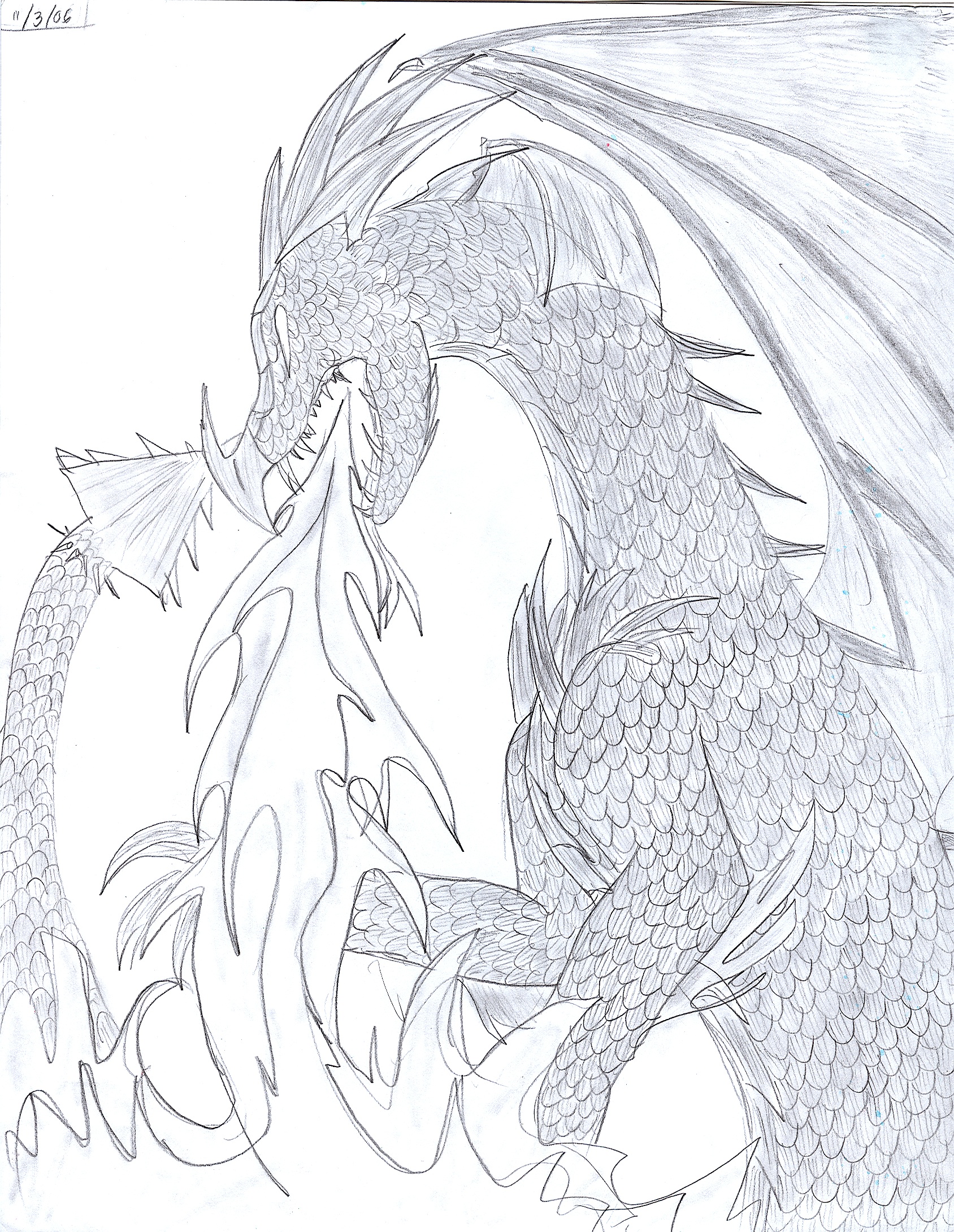 Dragon by Koji45