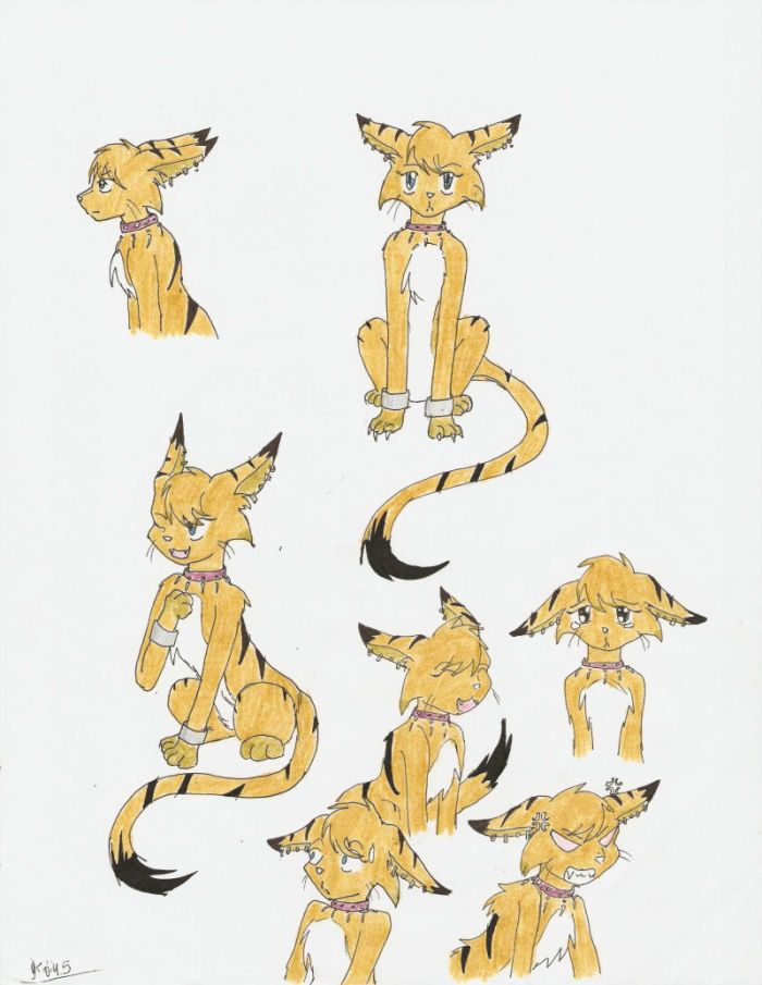 Cat by Koji45